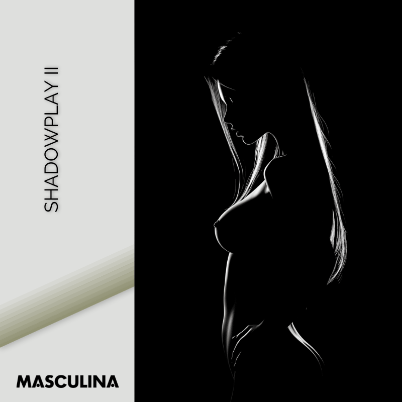 SHADOWPLAY II*Dibond*40x60*Dibond*Kunstwerk*Masculina.nl