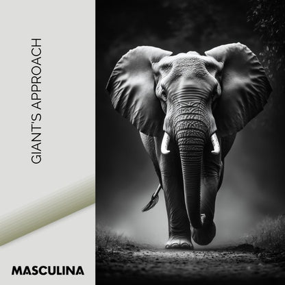 APPROACHING GIANT*Canvas*40x60*Canvas*Kunstwerk*Masculina.nl