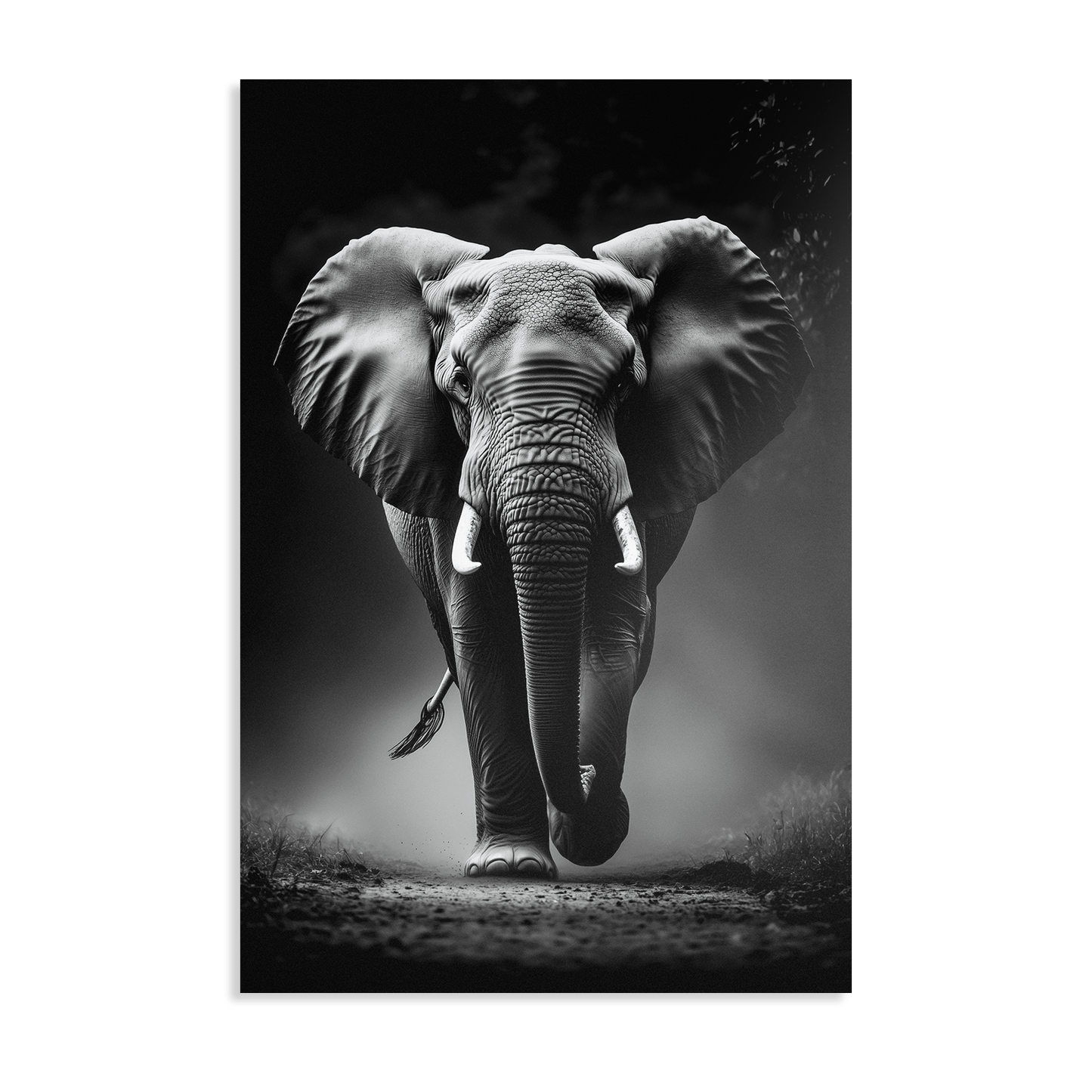 APPROACHING GIANT*Dibond*40x60*Dibond*Kunstwerk*Masculina.nl