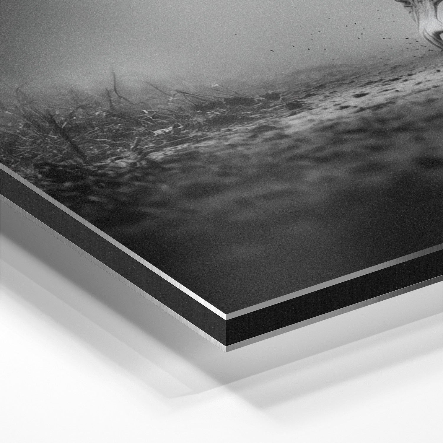 APPROACHING GIANT*Dibond*40x60*Dibond*Kunstwerk*Masculina.nl