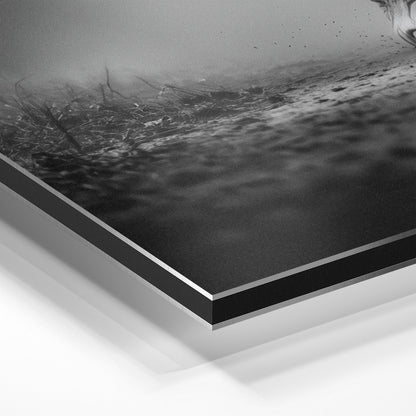 APPROACHING GIANT*Dibond*40x60*Dibond*Kunstwerk*Masculina.nl