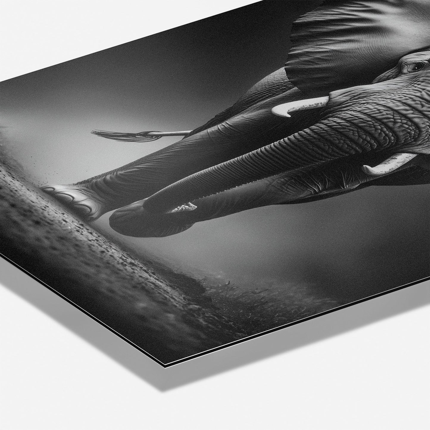 APPROACHING GIANT*Dibond*40x60*Dibond*Kunstwerk*Masculina.nl