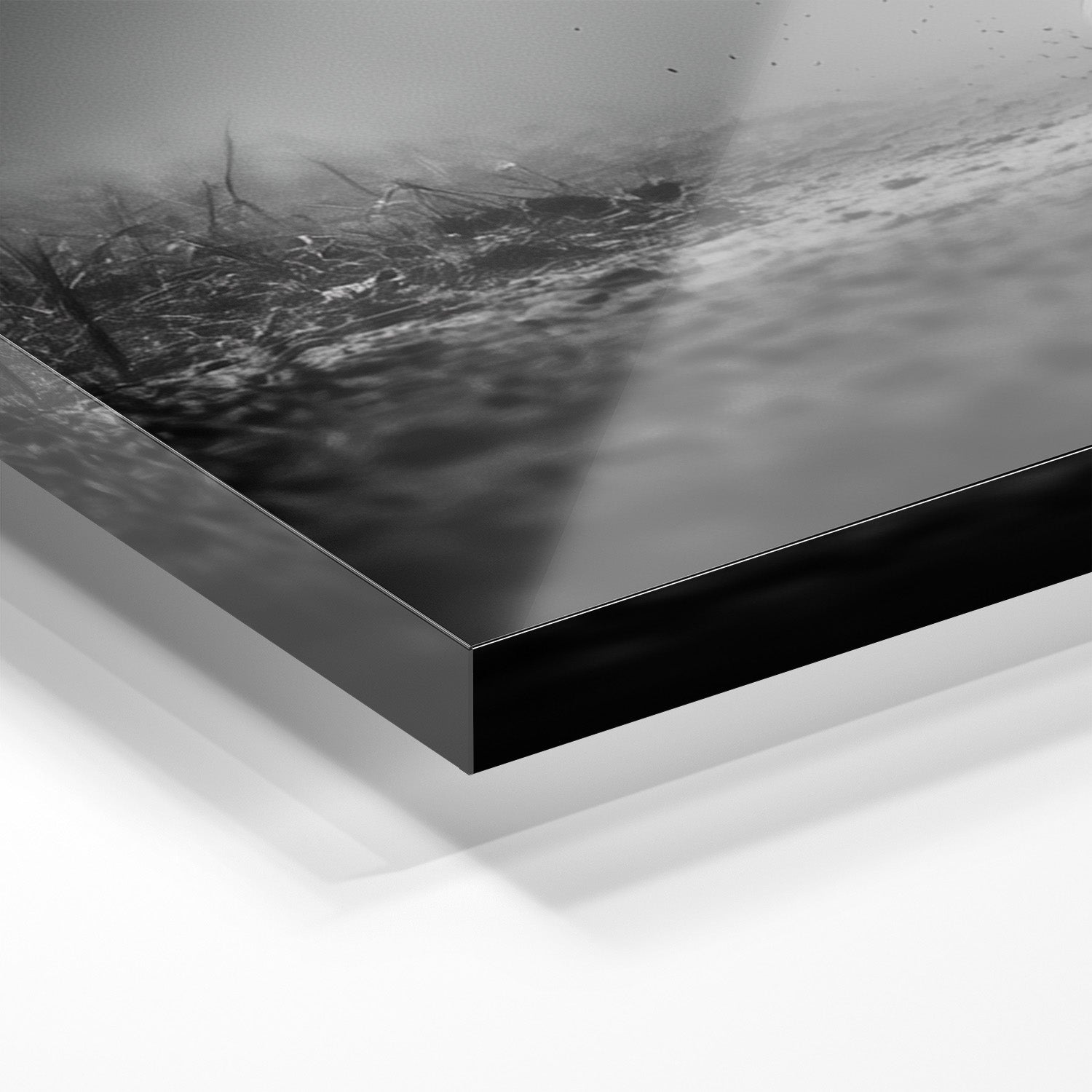 APPROACHING GIANT*Plexiglas*40x60*Plexiglas*Kunstwerk*Masculina.nl