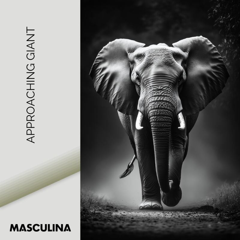 APPROACHING GIANT*Plexiglas*40x60*Plexiglas*Kunstwerk*Masculina.nl