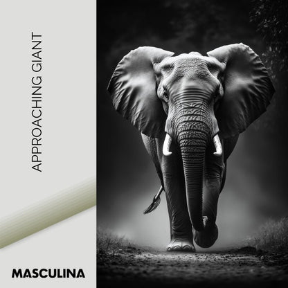 APPROACHING GIANT*Plexiglas*40x60*Plexiglas*Kunstwerk*Masculina.nl