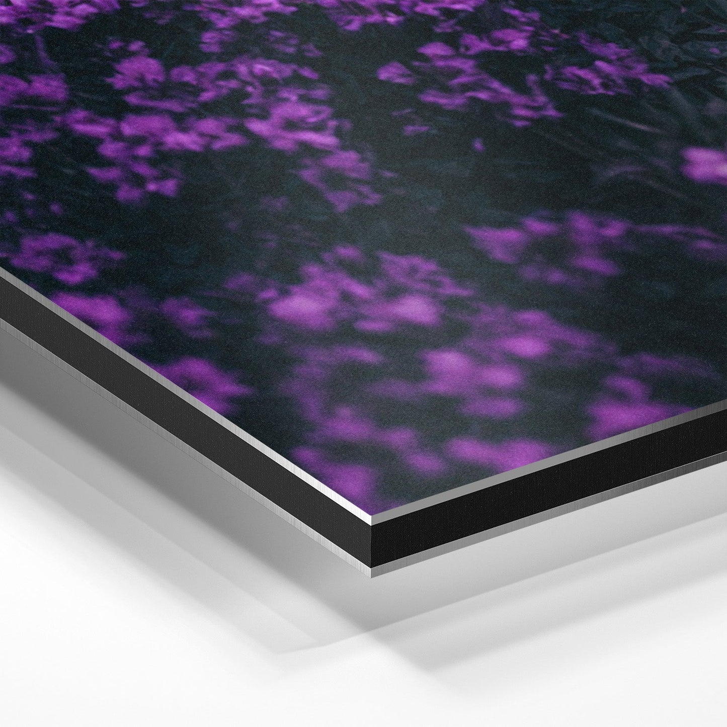 ASTRONAUT'S PURPLE BLISS*Dibond*40x60*Dibond*Kunstwerk*Masculina.nl
