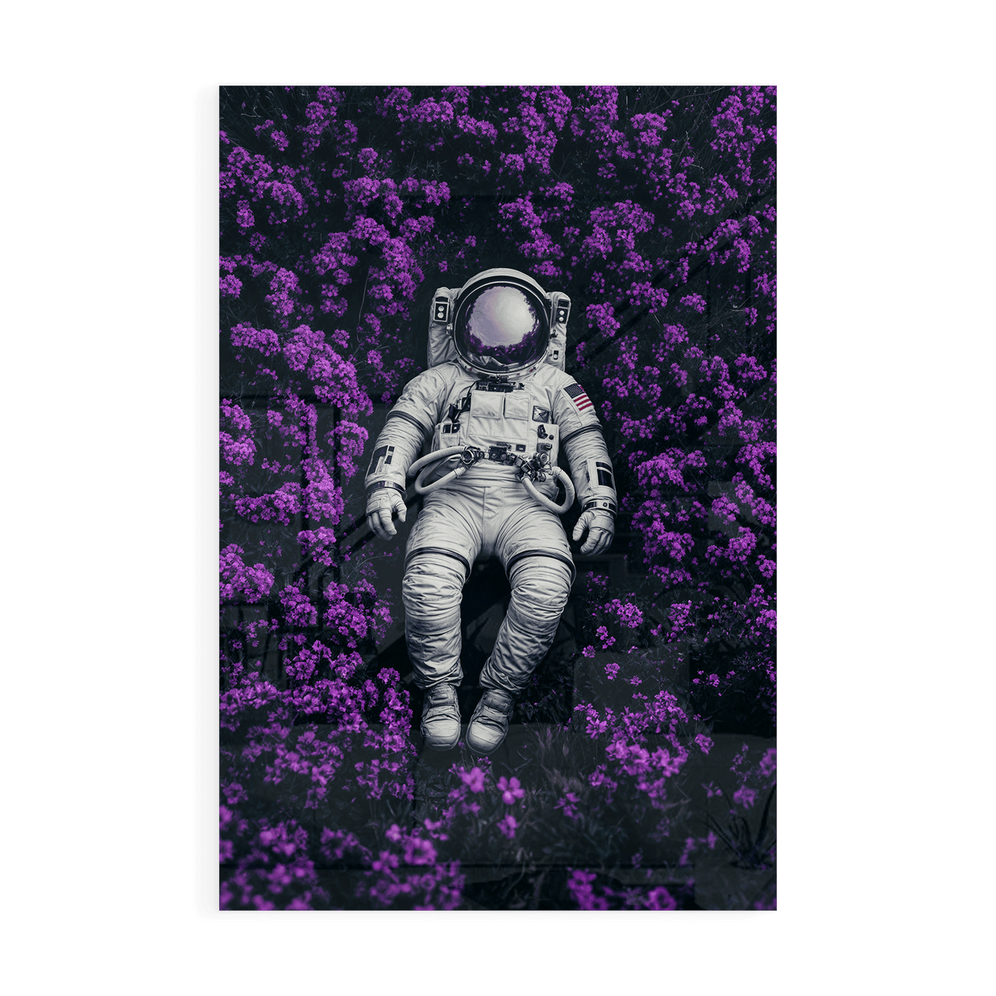 ASTRONAUT'S PURPLE BLISS*Plexiglas*40x60*Plexiglas*Kunstwerk*Masculina.nl