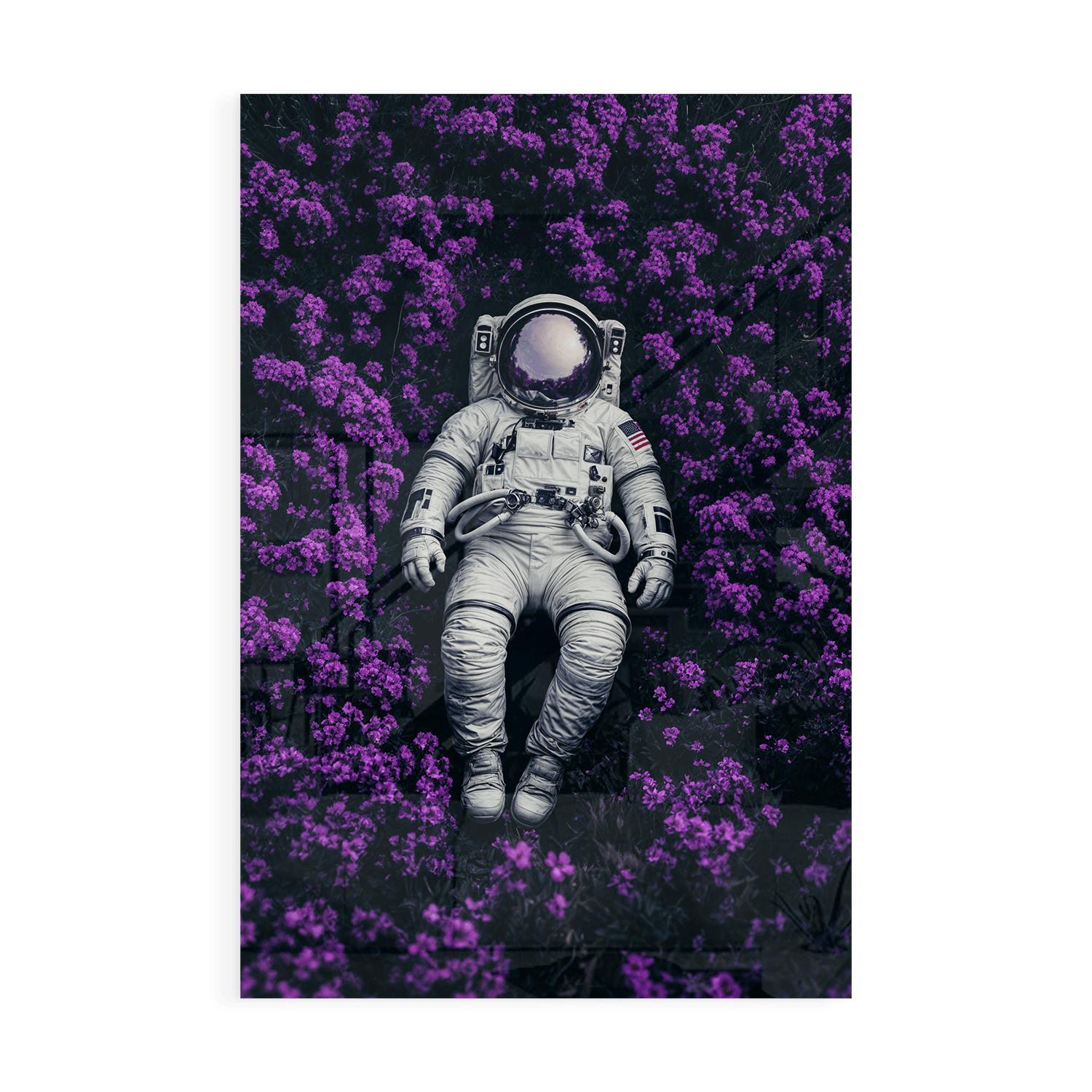 ASTRONAUT'S PURPLE BLISS*Plexiglas*40x60*Plexiglas*Kunstwerk*Masculina.nl