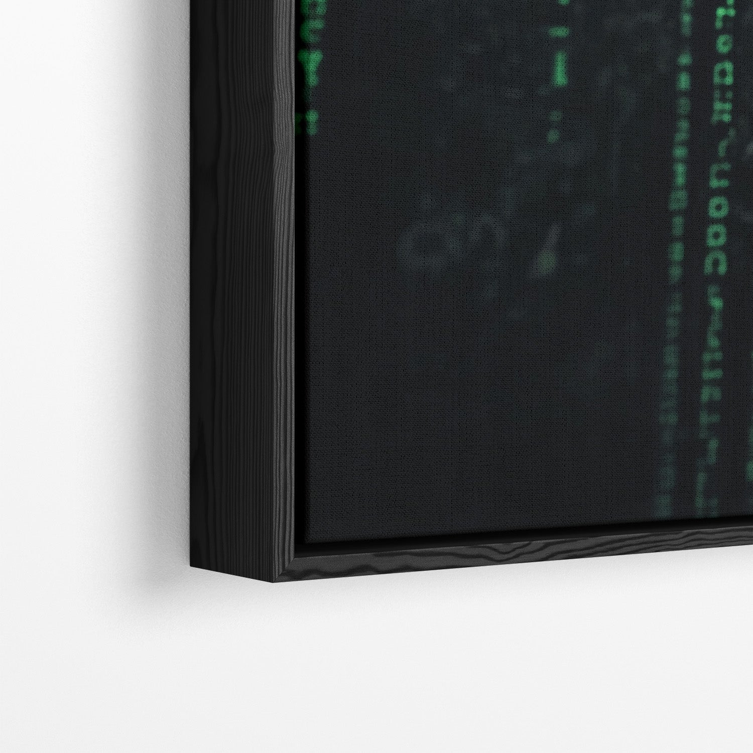 BITCOIN x MATRIX*Canvas*40x60*Baklijst*Kunstwerk*Masculina.nl