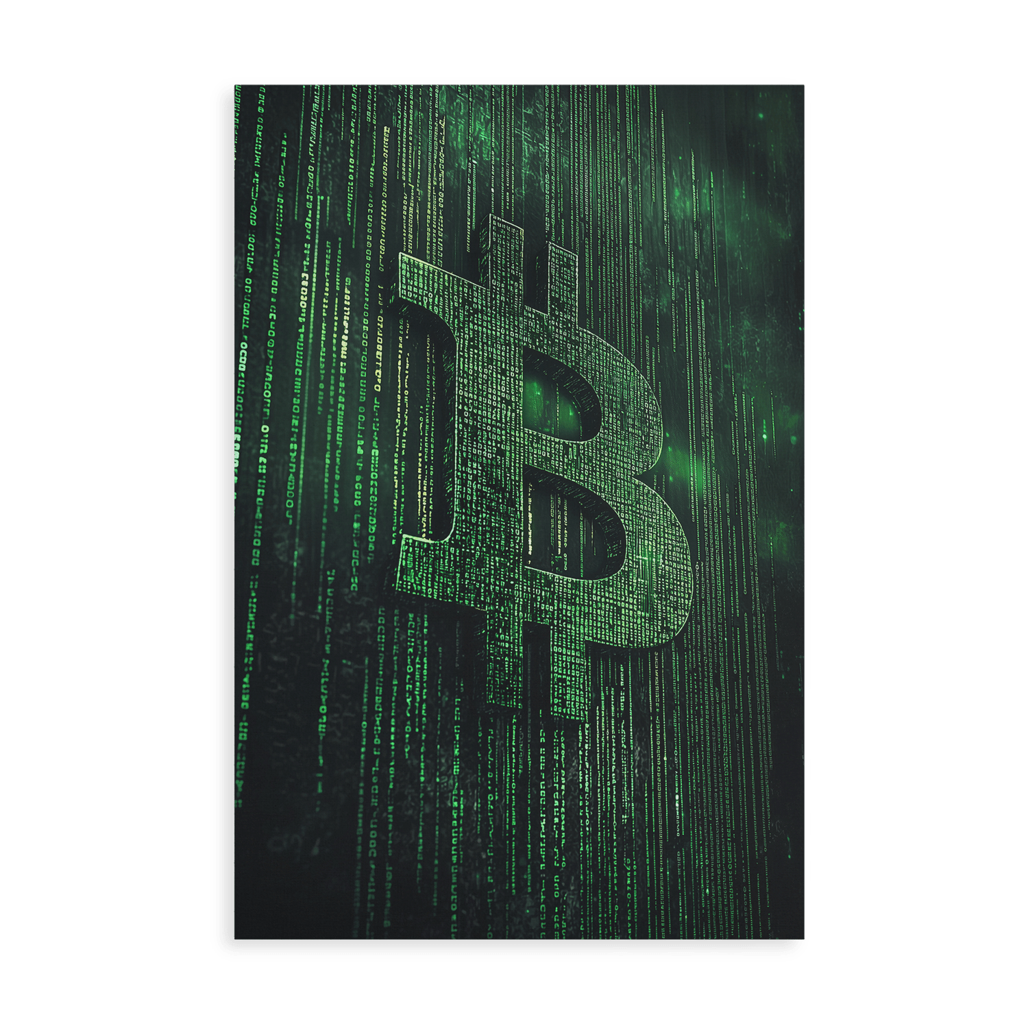 BITCOIN x MATRIX*Canvas*40x60*Canvas*Kunstwerk*Masculina.nl