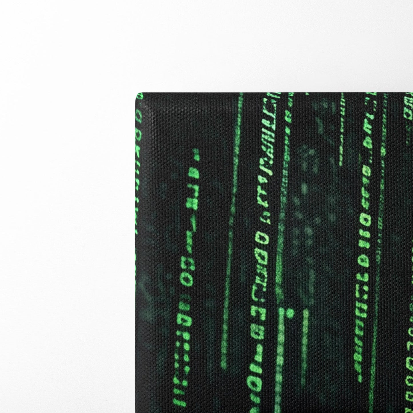 BITCOIN x MATRIX*Canvas*40x60*Canvas*Kunstwerk*Masculina.nl