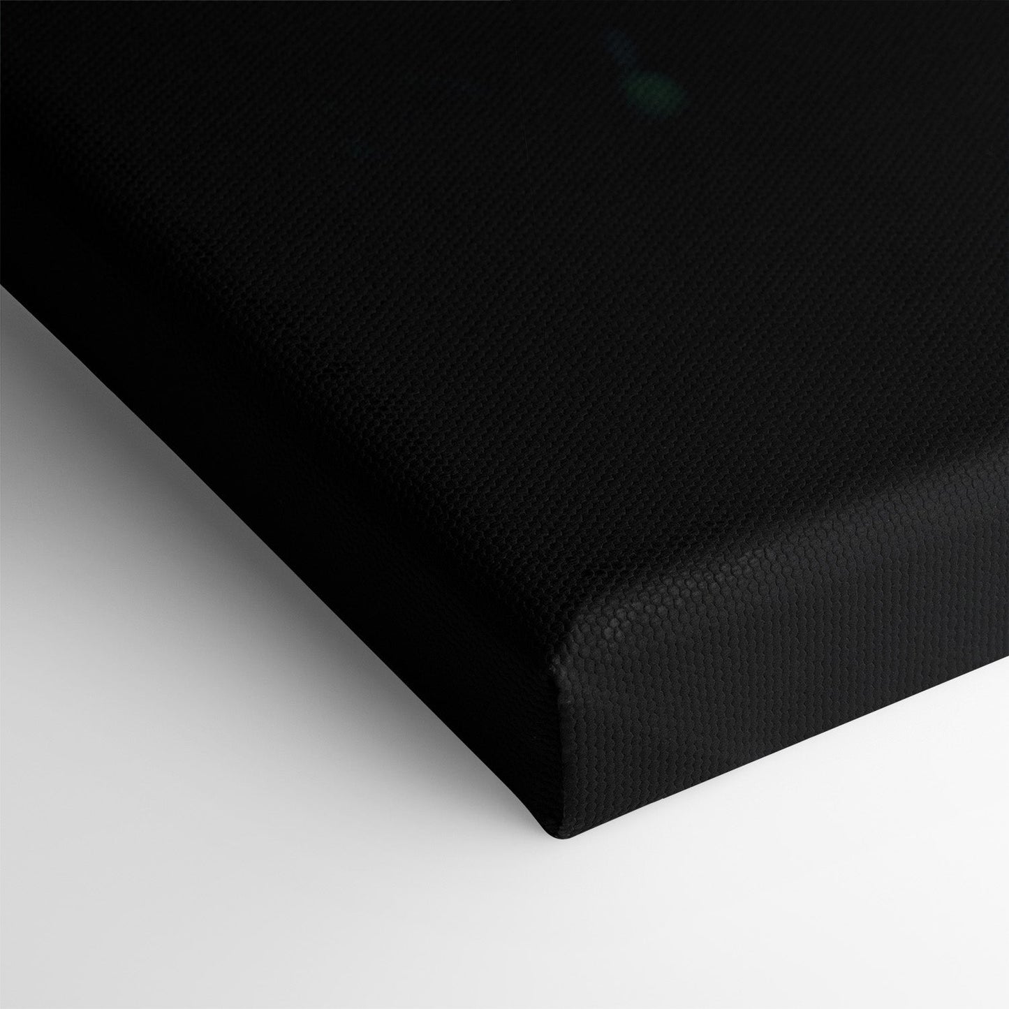 BITCOIN x MATRIX*Canvas*40x60*Canvas*Kunstwerk*Masculina.nl