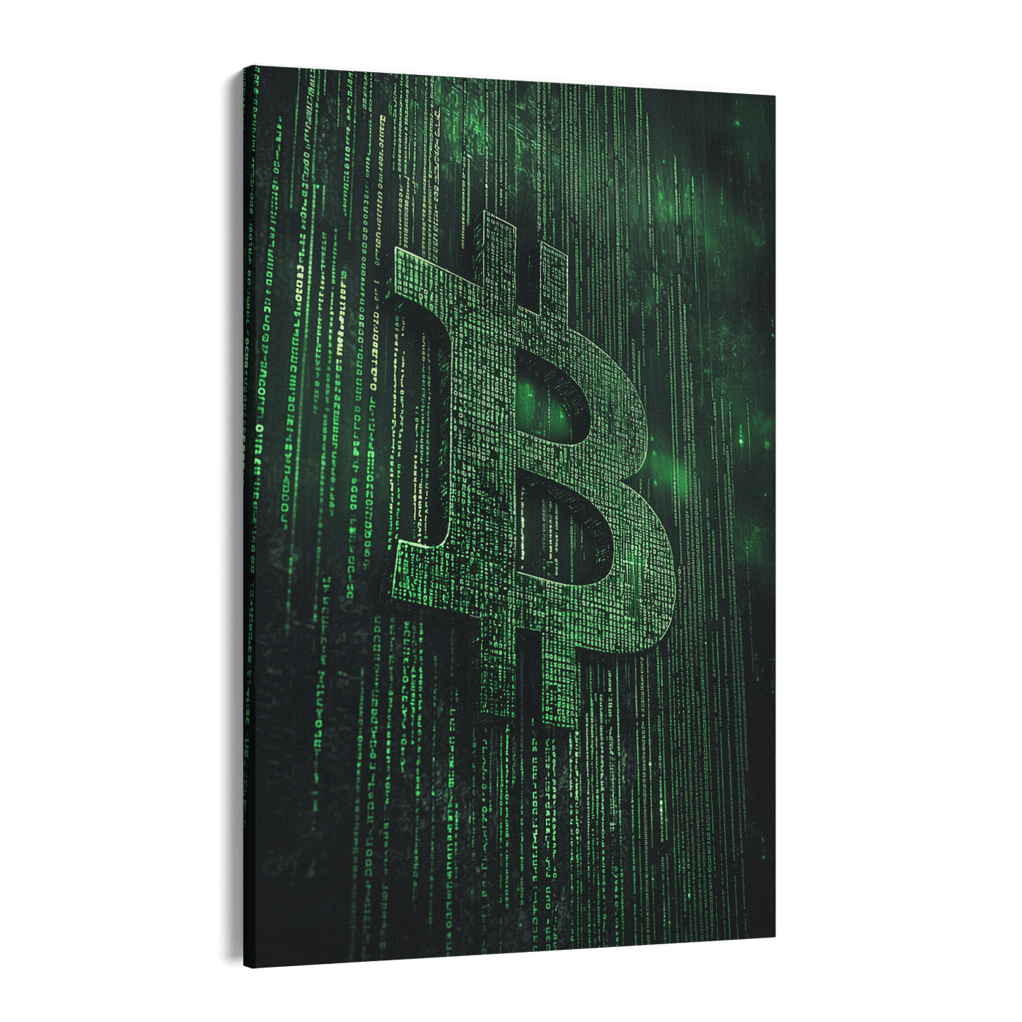 BITCOIN x MATRIX*Canvas*40x60*Canvas*Kunstwerk*Masculina.nl