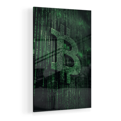 BITCOIN x MATRIX*Plexiglas*40x60*Plexiglas*Kunstwerk*Masculina.nl