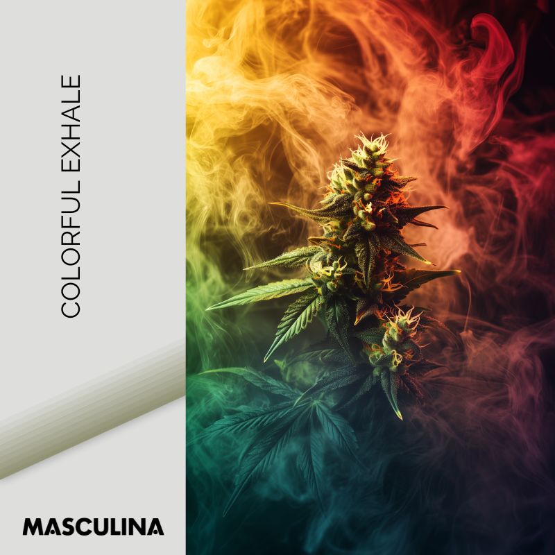 COLORFUL EXHALE*Canvas*40x60*Canvas*Kunstwerk*Masculina.nl