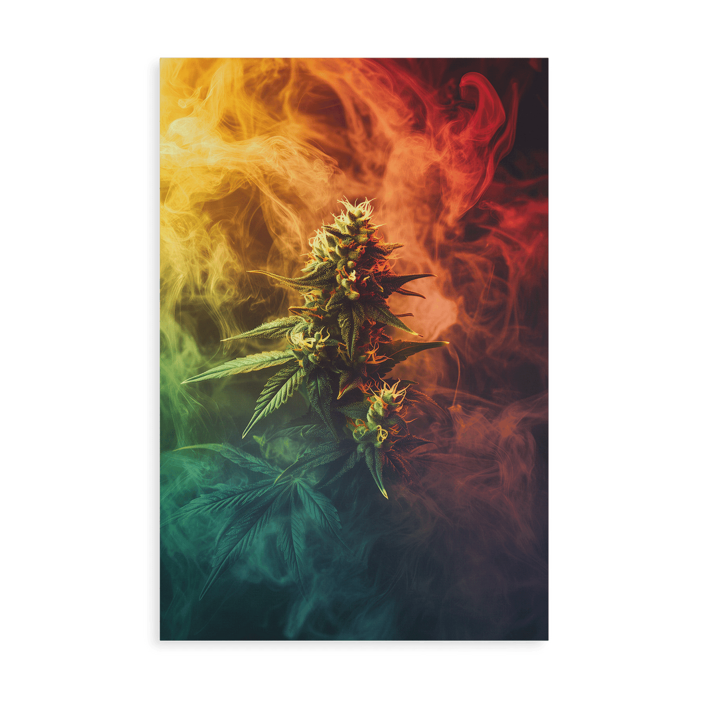 COLORFUL EXHALE*Canvas*40x60*Canvas*Kunstwerk*Masculina.nl