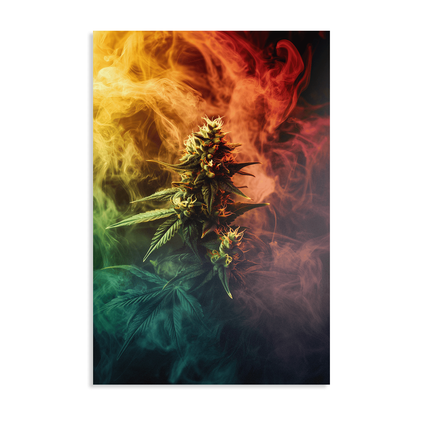 COLORFUL EXHALE*Dibond*40x60*Dibond*Kunstwerk*Masculina.nl