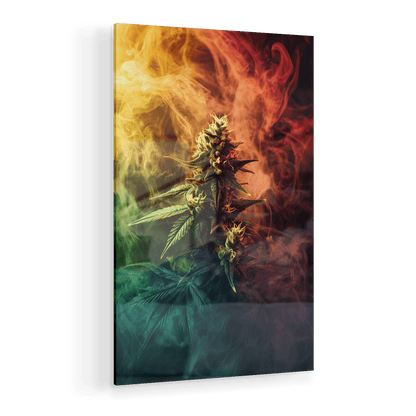 COLORFUL EXHALE*Plexiglas*40x60*Plexiglas*Kunstwerk*Masculina.nl