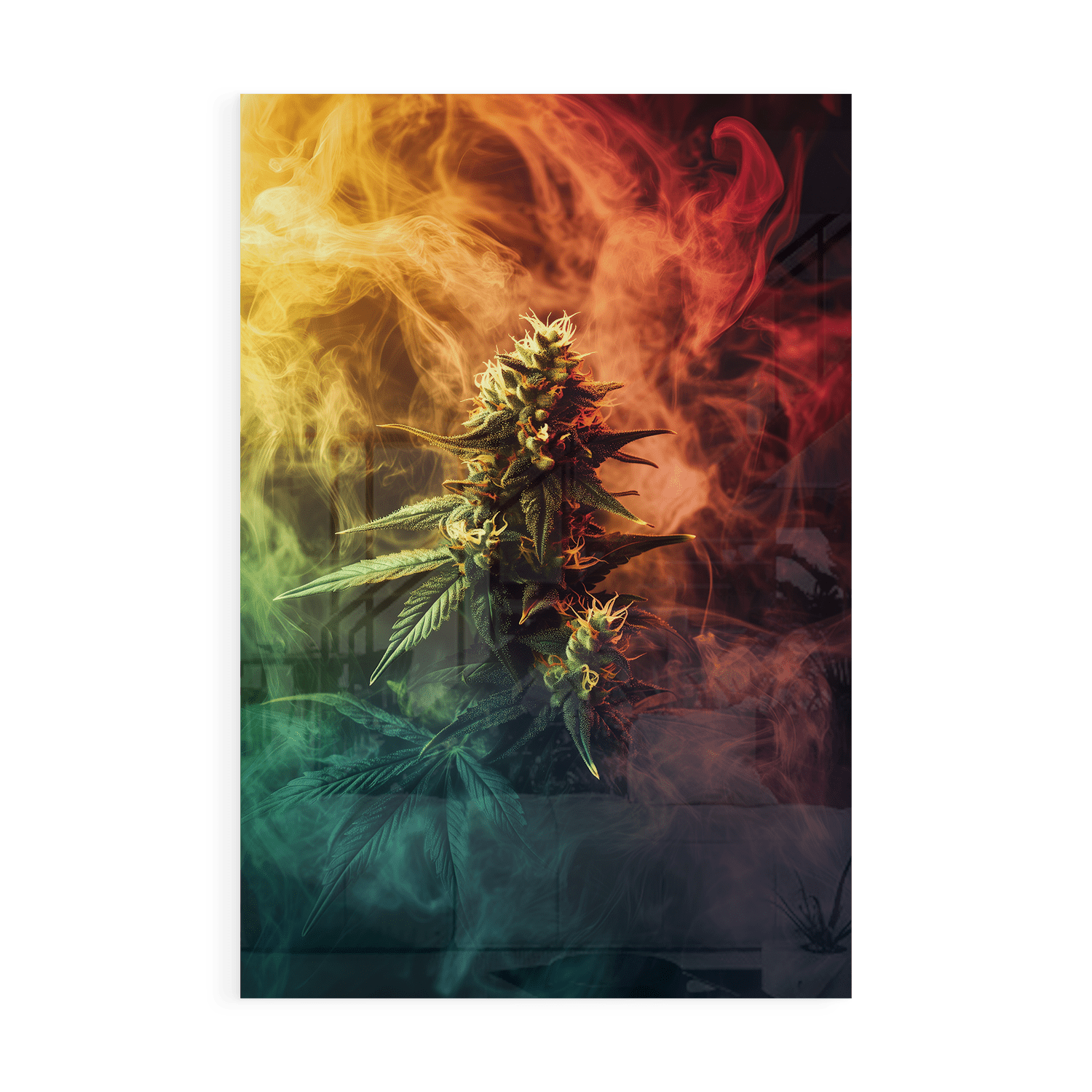 COLORFUL EXHALE*Plexiglas*40x60*Plexiglas*Kunstwerk*Masculina.nl