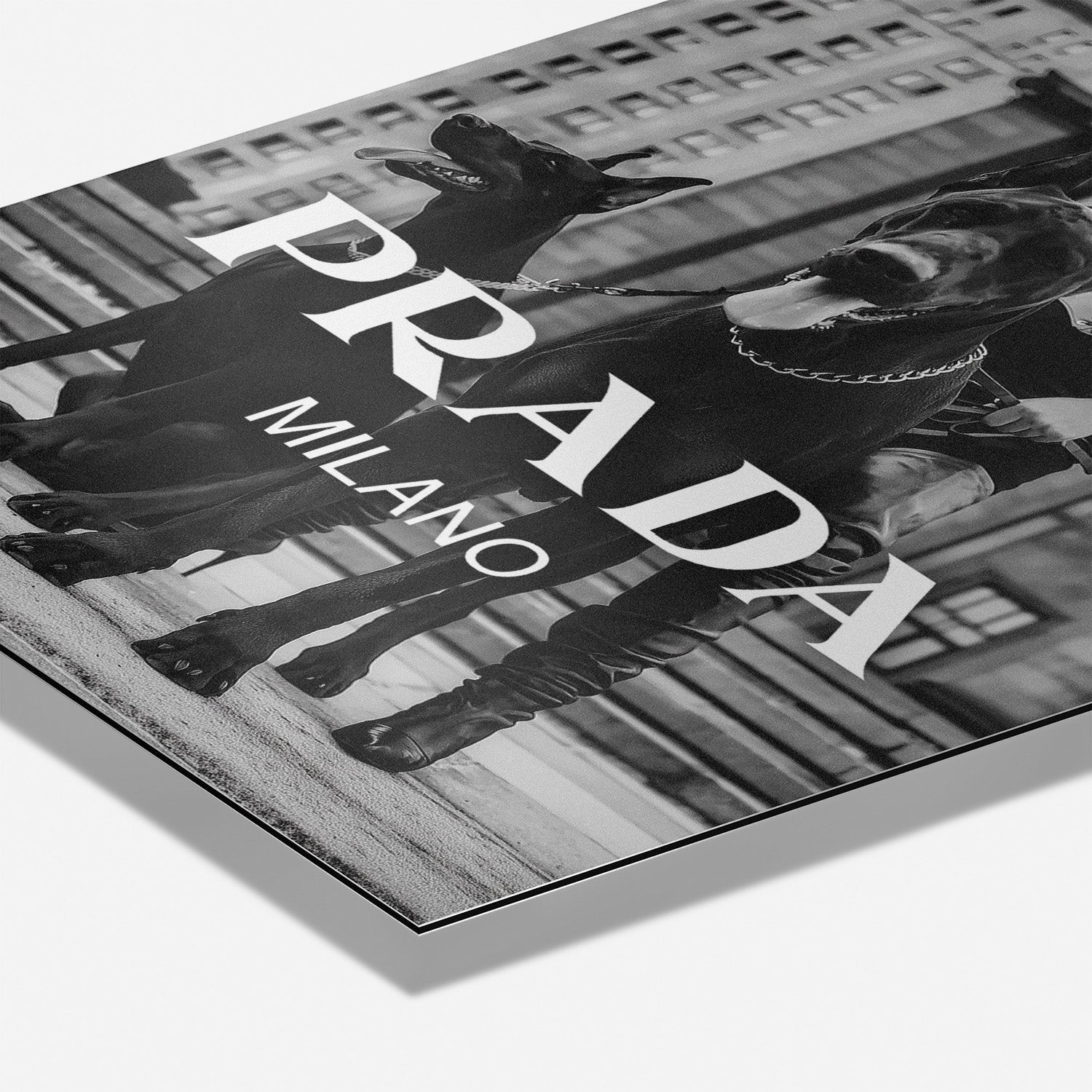 DOMINANCE IN STYLE*Dibond*40x60*Dibond*Kunstwerk*Masculina.nl