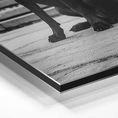 DOMINANCE IN STYLE*Dibond*40x60*Dibond*Kunstwerk*Masculina.nl