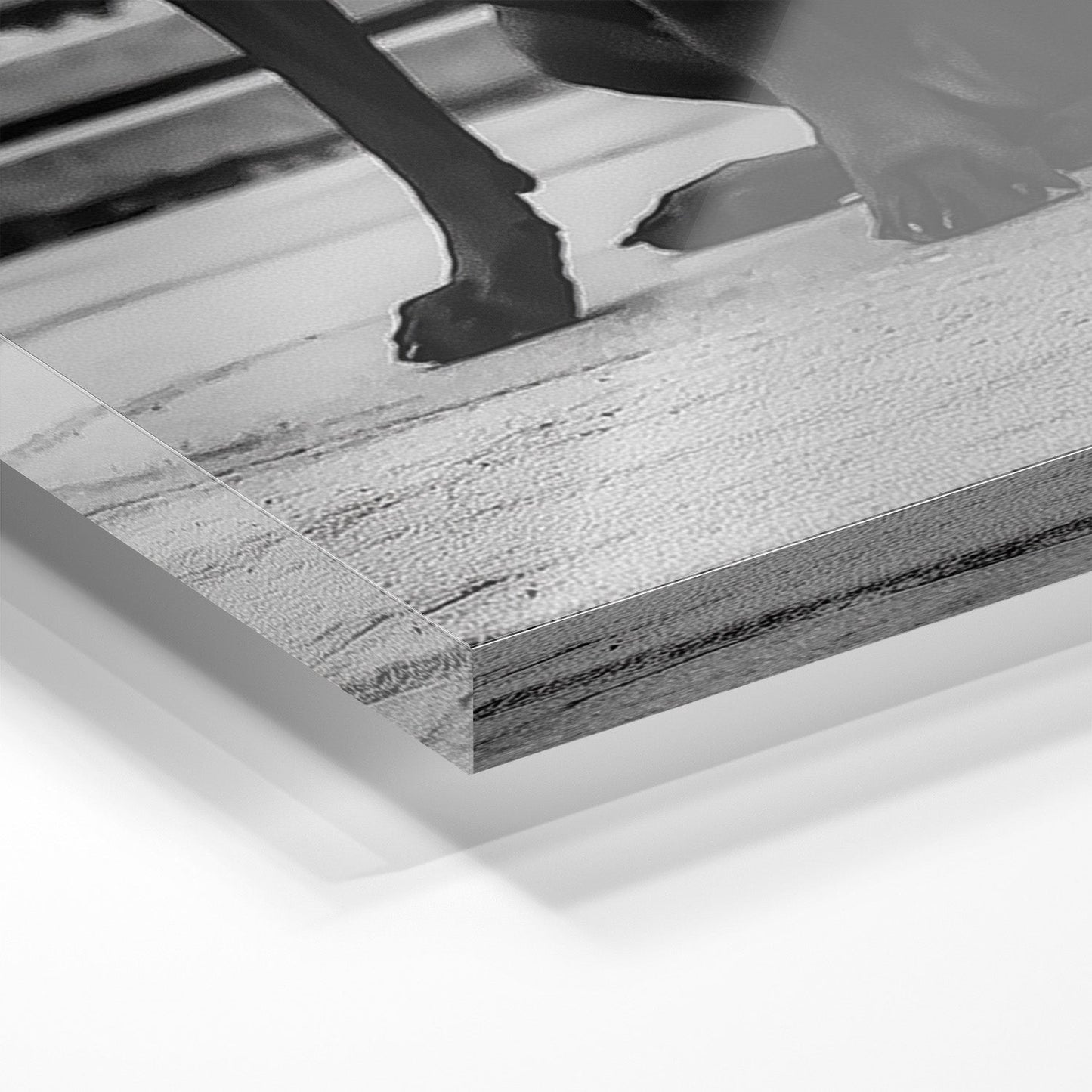 DOMINANCE IN STYLE*Plexiglas*40x60*Plexiglas*Kunstwerk*Masculina.nl