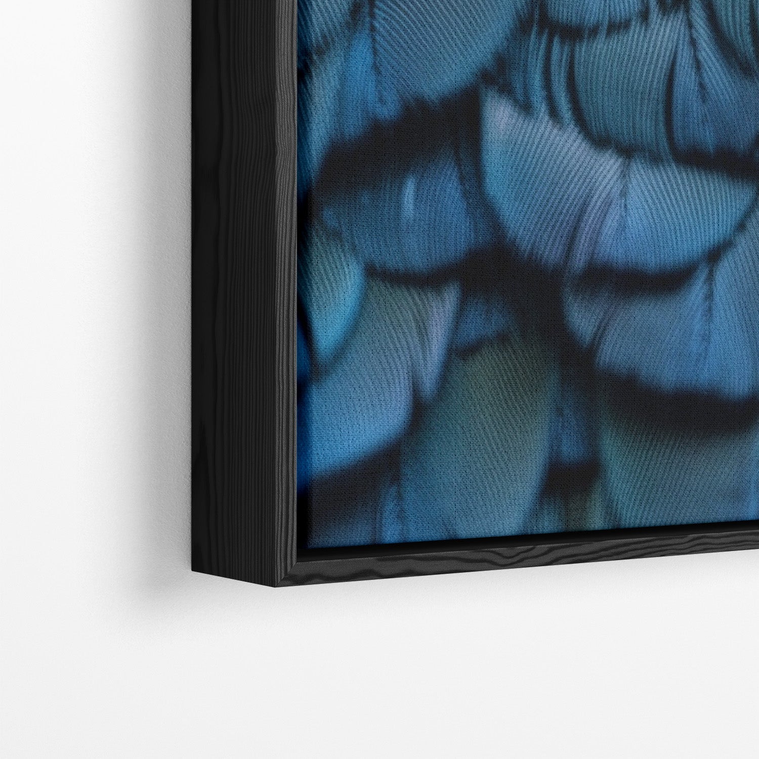 FEATHERS OF ELEGANCE*Canvas*40x60*Baklijst*Kunstwerk*Masculina.nl