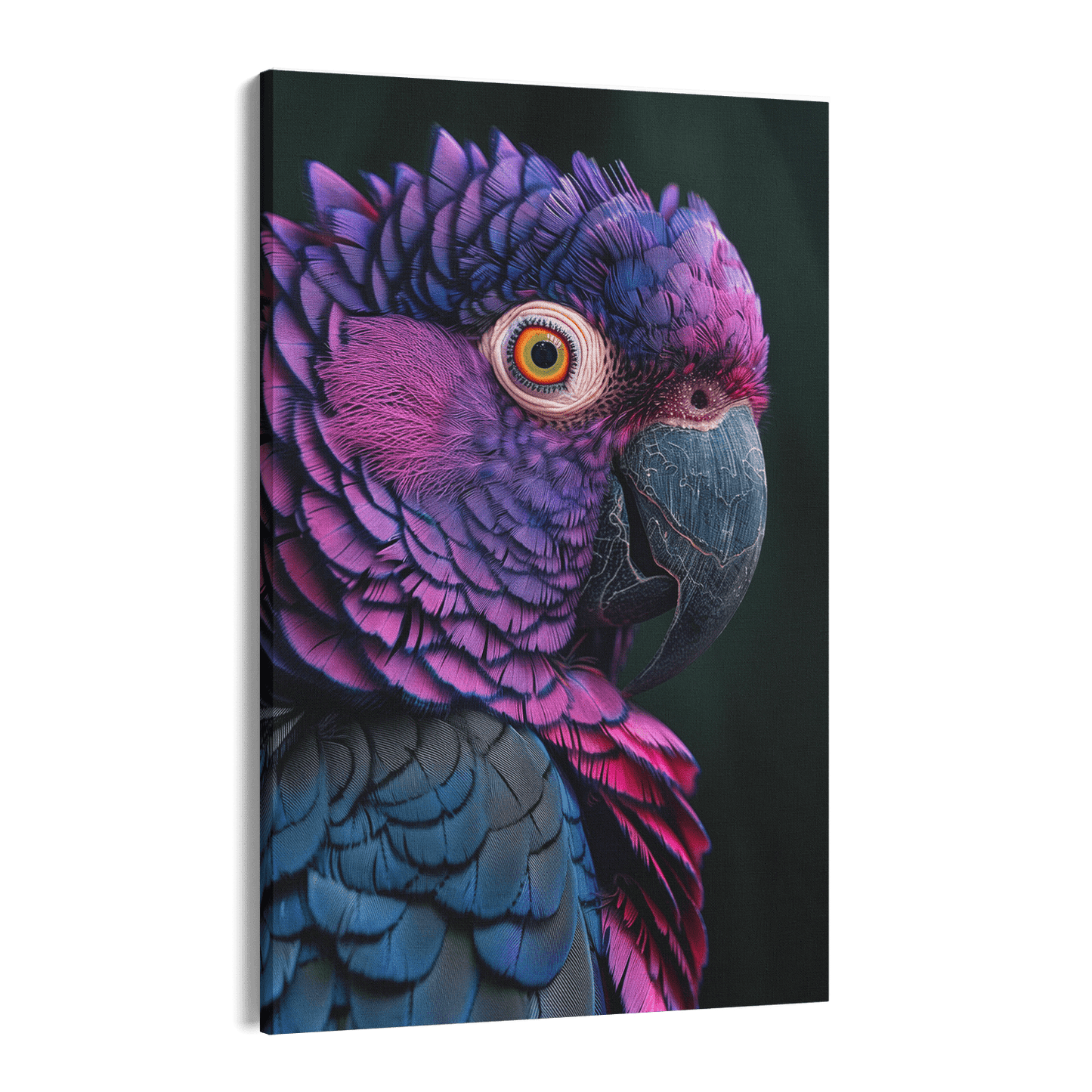 FEATHERS OF ELEGANCE*Canvas*40x60*Canvas*Kunstwerk*Masculina.nl