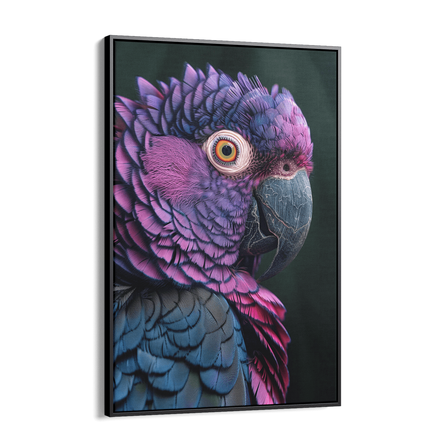 FEATHERS OF ELEGANCE*Canvas*40x60*Baklijst*Kunstwerk*Masculina.nl