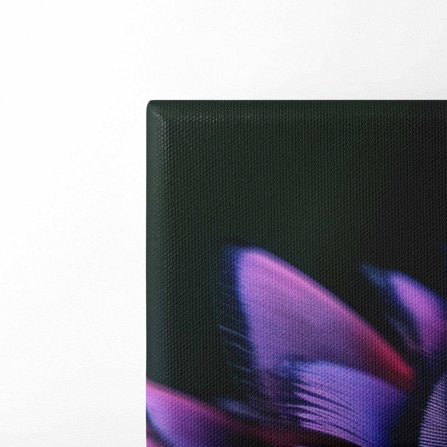 FEATHERS OF ELEGANCE*Canvas*40x60*Canvas*Kunstwerk*Masculina.nl