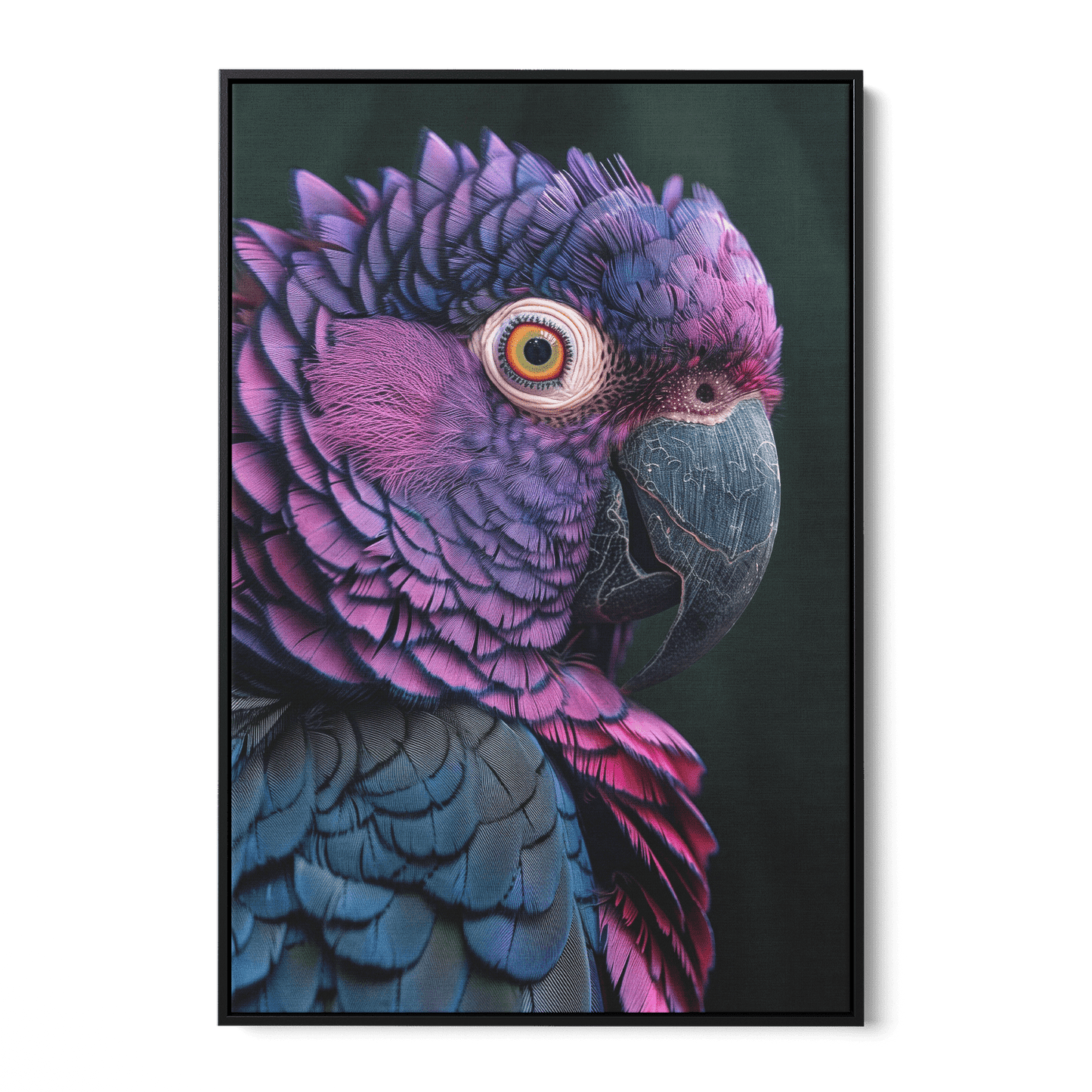 FEATHERS OF ELEGANCE*Canvas*40x60*Baklijst*Kunstwerk*Masculina.nl