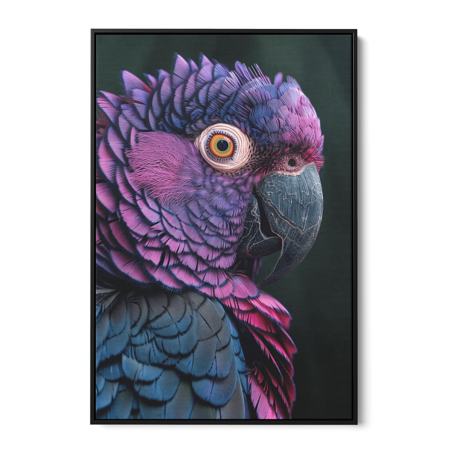 FEATHERS OF ELEGANCE*Canvas*40x60*Baklijst*Kunstwerk*Masculina.nl