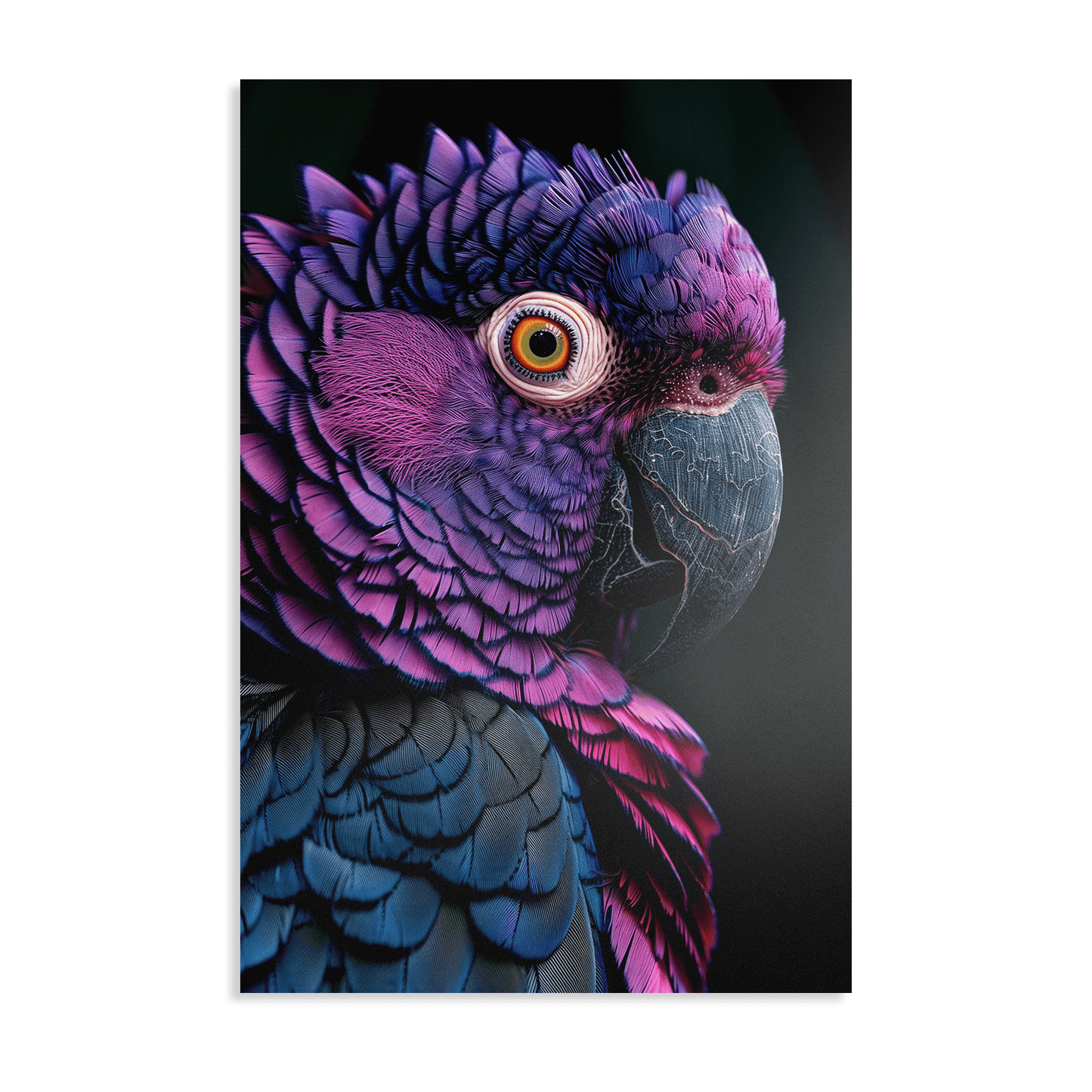 FEATHERS OF ELEGANCE*Dibond*40x60*Dibond*Kunstwerk*Masculina.nl