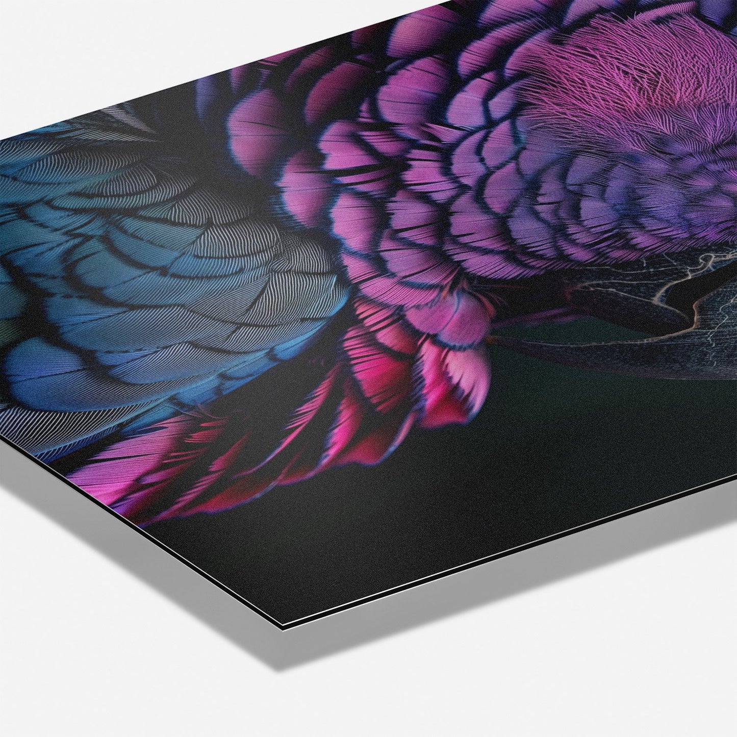 FEATHERS OF ELEGANCE*Dibond*40x60*Dibond*Kunstwerk*Masculina.nl