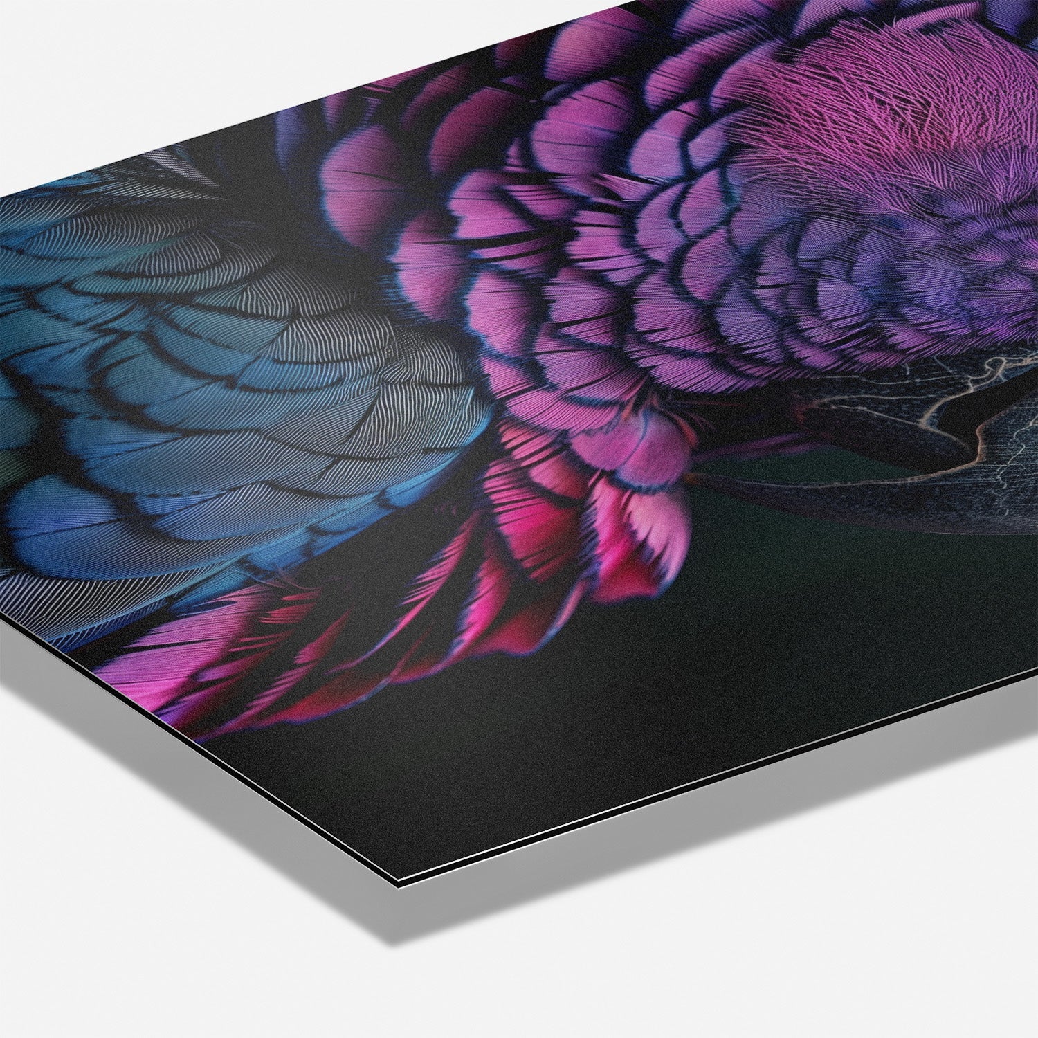 FEATHERS OF ELEGANCE*Dibond*40x60*Dibond*Kunstwerk*Masculina.nl