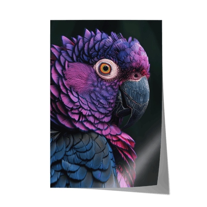 FEATHERS OF ELEGANCE*Papier*40x60*Papier*Kunstwerk*Masculina.nl