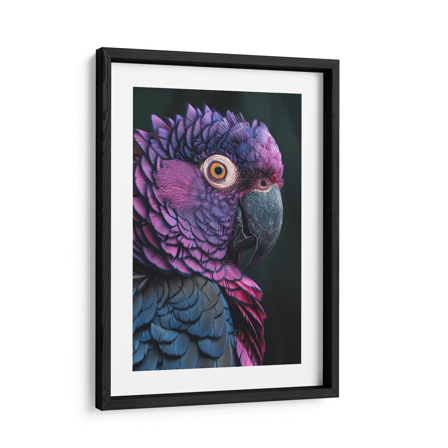 FEATHERS OF ELEGANCE*Papier*40x60*Papier*Kunstwerk*Masculina.nl