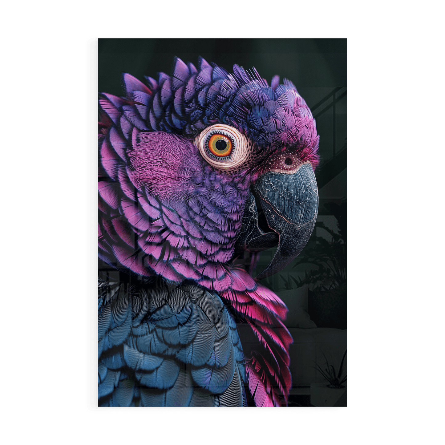 FEATHERS OF ELEGANCE*Plexiglas*40x60*Plexiglas*Kunstwerk*Masculina.nl