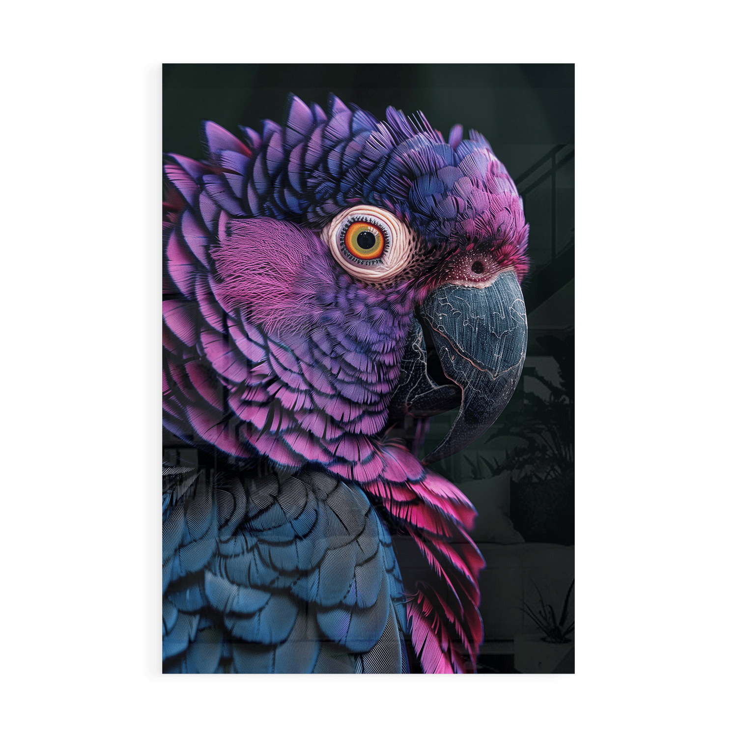 FEATHERS OF ELEGANCE*Plexiglas*40x60*Plexiglas*Kunstwerk*Masculina.nl