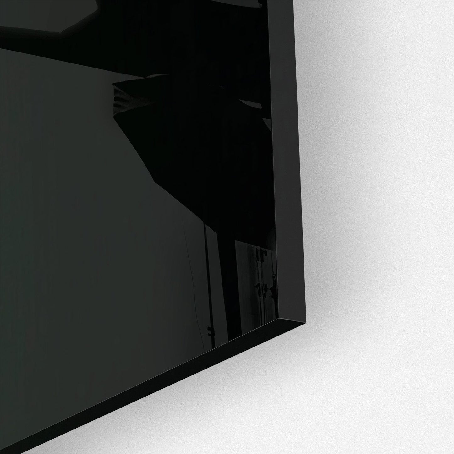 FEATHERS OF ELEGANCE*Plexiglas*40x60*Plexiglas*Kunstwerk*Masculina.nl