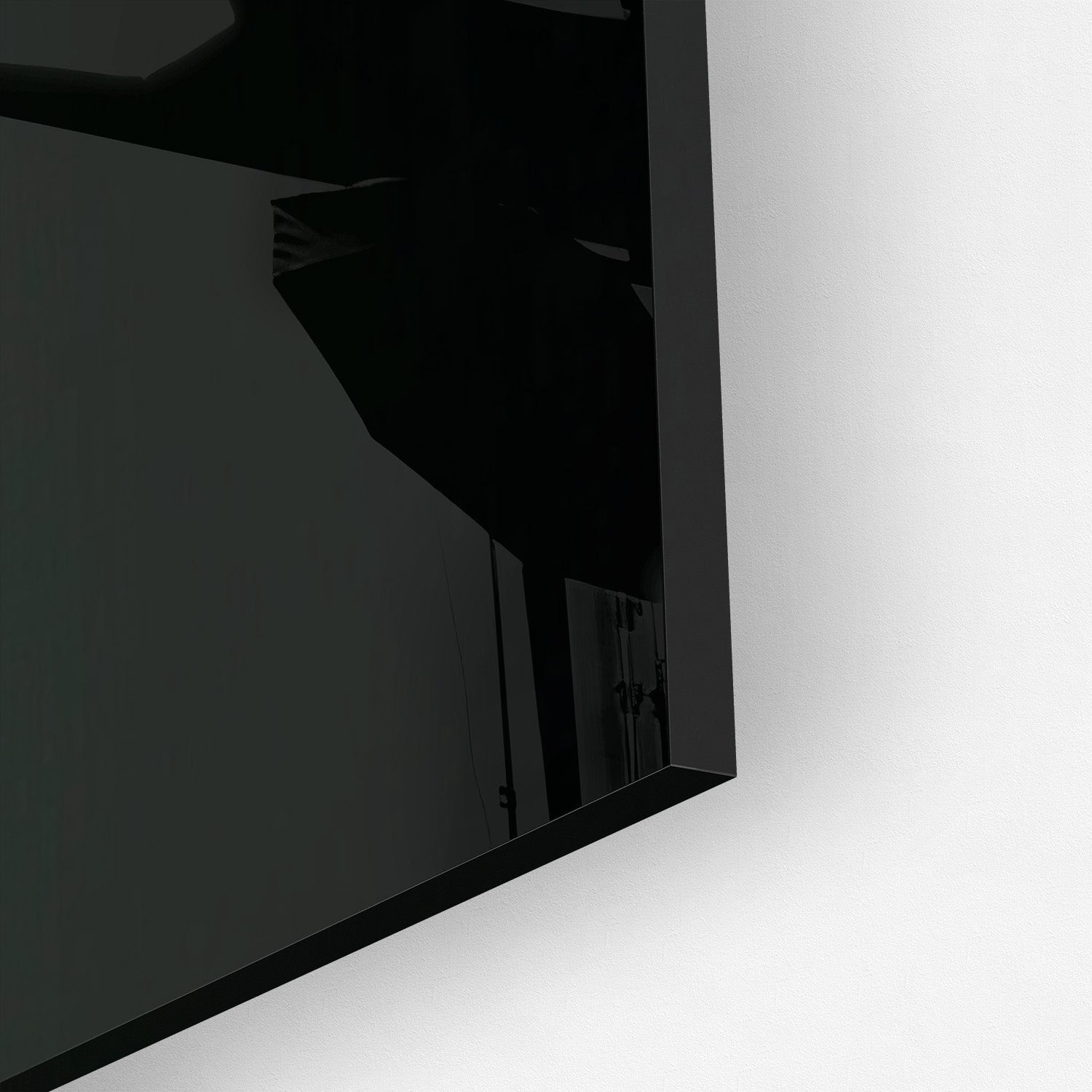 FEATHERS OF ELEGANCE*Plexiglas*40x60*Plexiglas*Kunstwerk*Masculina.nl