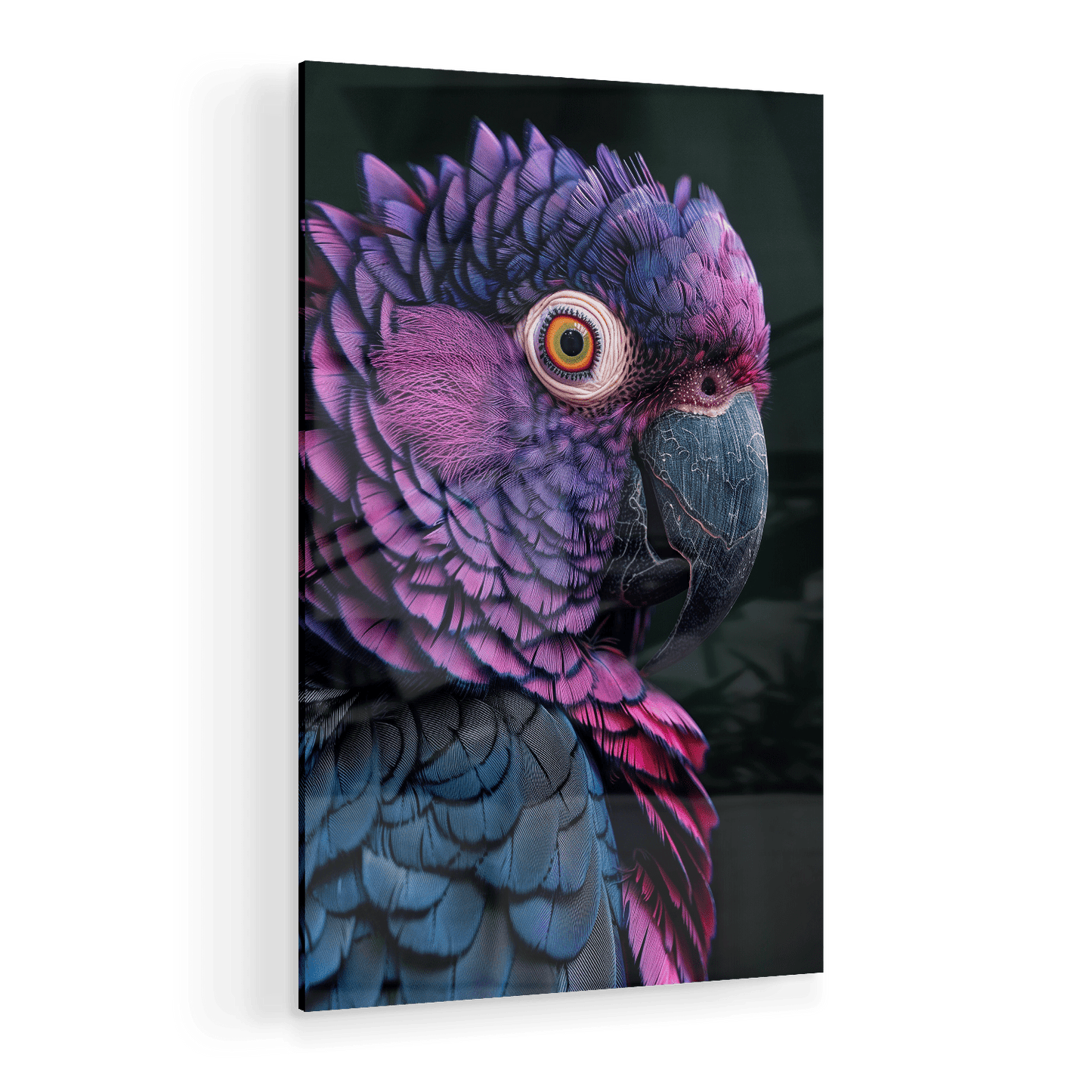 FEATHERS OF ELEGANCE*Plexiglas*40x60*Plexiglas*Kunstwerk*Masculina.nl