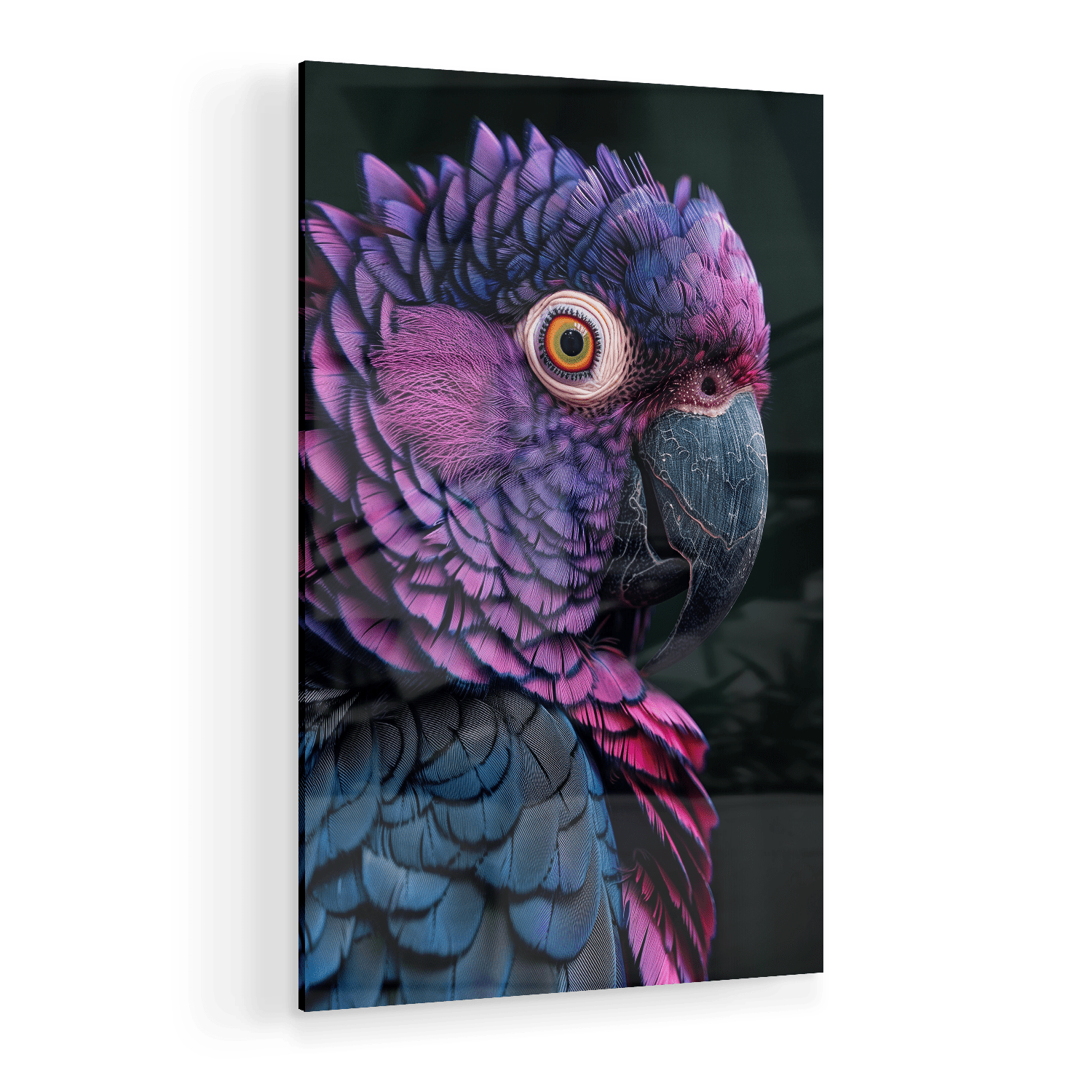 FEATHERS OF ELEGANCE*Plexiglas*40x60*Plexiglas*Kunstwerk*Masculina.nl