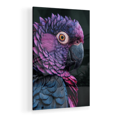 FEATHERS OF ELEGANCE*Plexiglas*40x60*Plexiglas*Kunstwerk*Masculina.nl