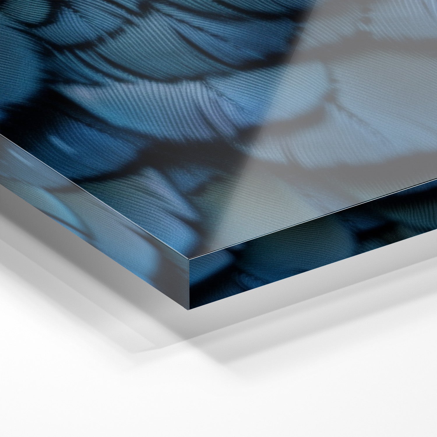 FEATHERS OF ELEGANCE*Plexiglas*40x60*Plexiglas*Kunstwerk*Masculina.nl