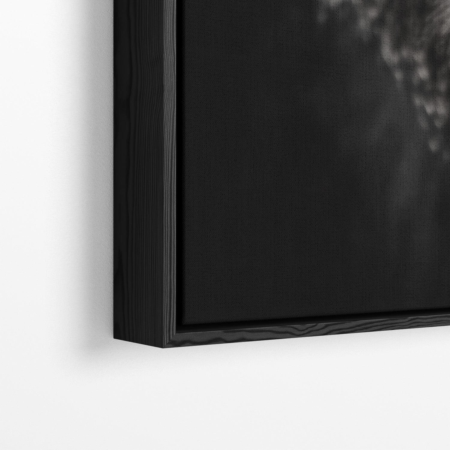 GRUMPY GORILLA*Canvas*40x60*Baklijst*Kunstwerk*Masculina.nl