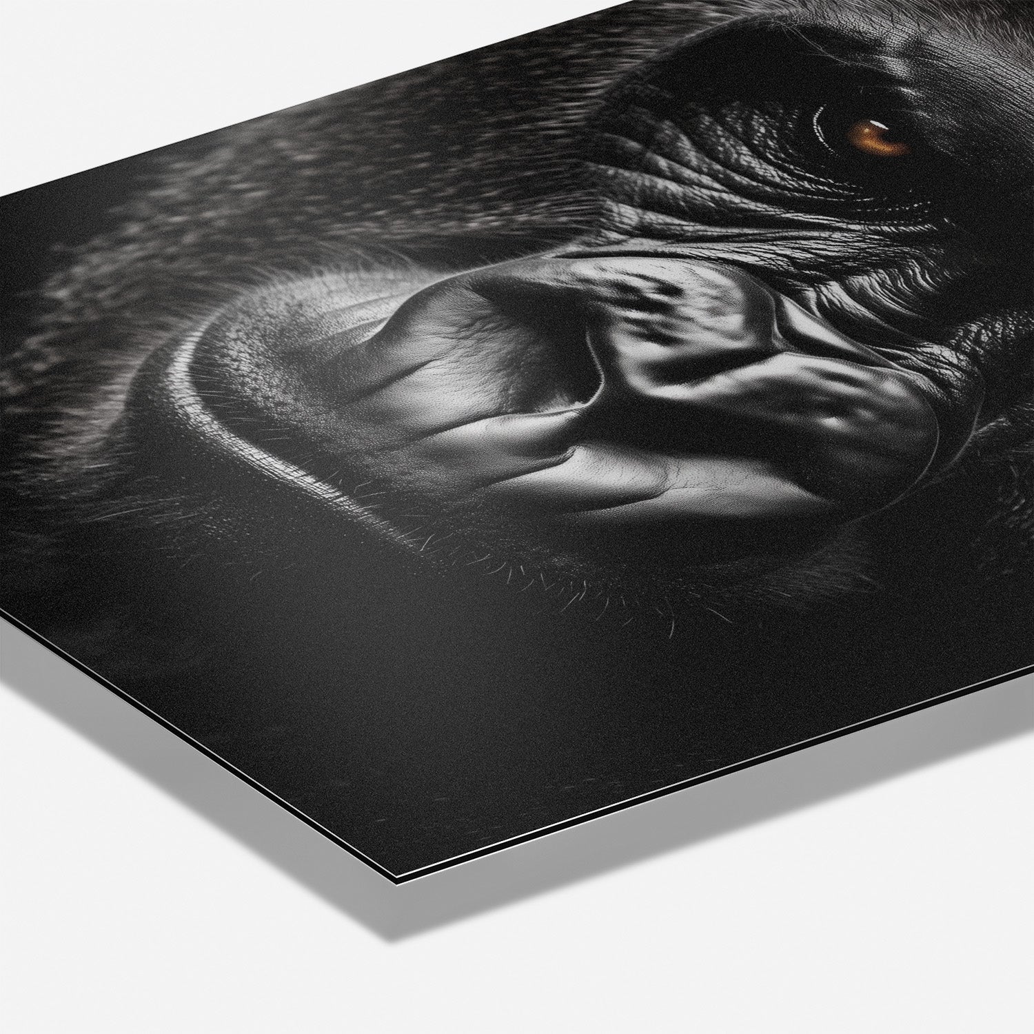 GRUMPY GORILLA*Dibond*40x60*Dibond*Kunstwerk*Masculina.nl