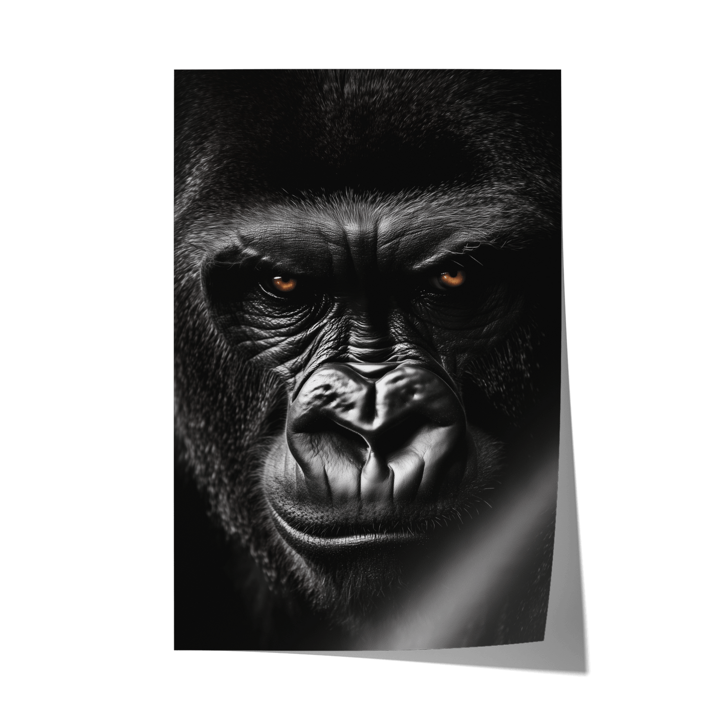 GRUMPY GORILLA*Papier*40x60*Papier*Kunstwerk*Masculina.nl