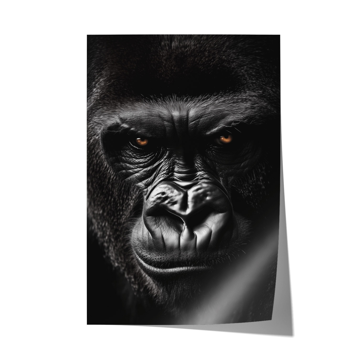 GRUMPY GORILLA*Papier*40x60*Papier*Kunstwerk*Masculina.nl