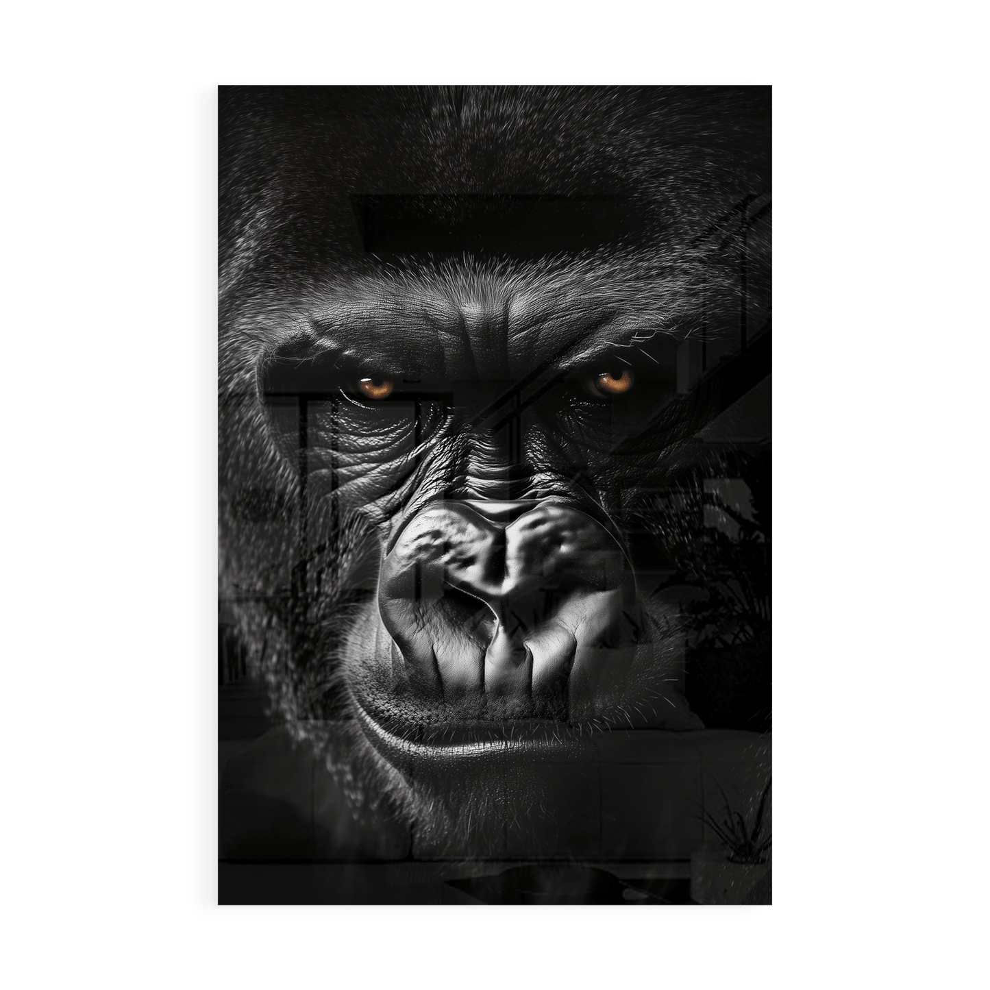 GRUMPY GORILLA*Plexiglas*40x60*Plexiglas*Kunstwerk*Masculina.nl